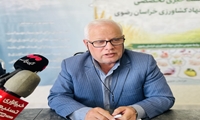 توسعه الگوی کشت پاییزه چغندرقند در خراسان رضوی